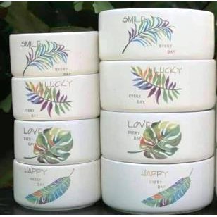 Chậu sứ trụ lùn nhỏ in hình |FREESHIP  SIÊU XINH | LỖI 1 ĐỔI 1