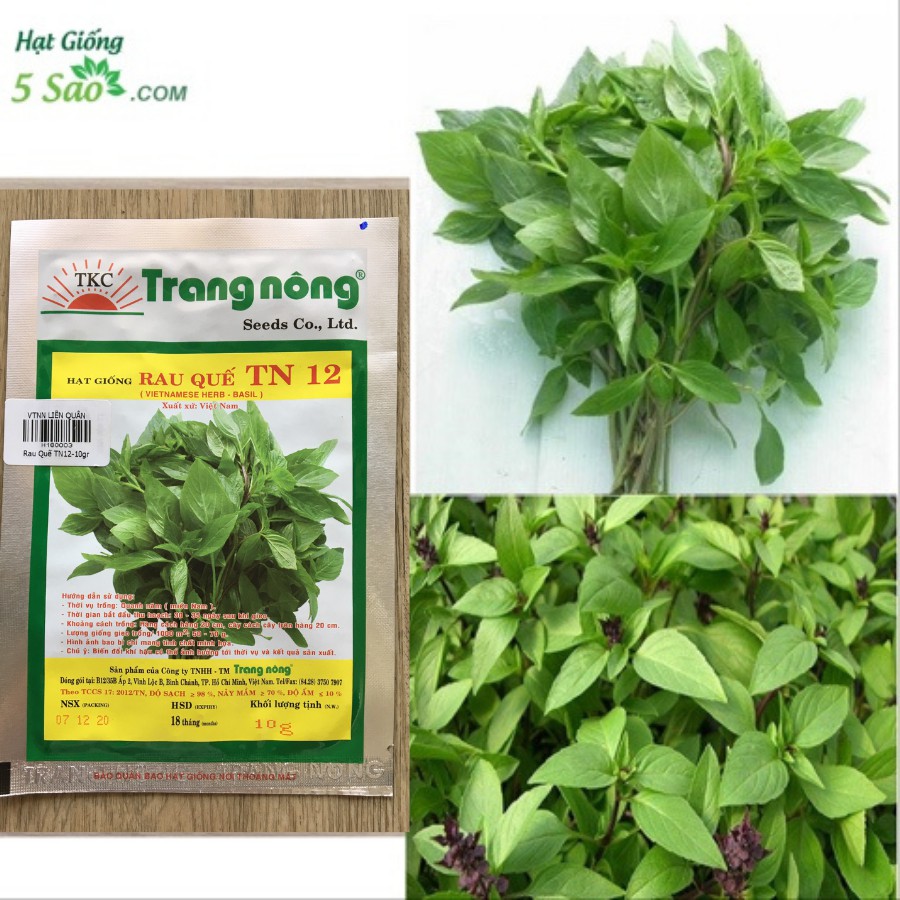 Rau Quế TN12 - Trang Nông