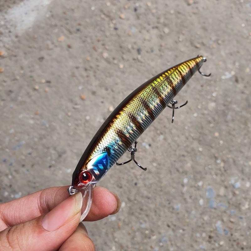 mồi câu cá chẽm, cá hồng Minow king dom 3523