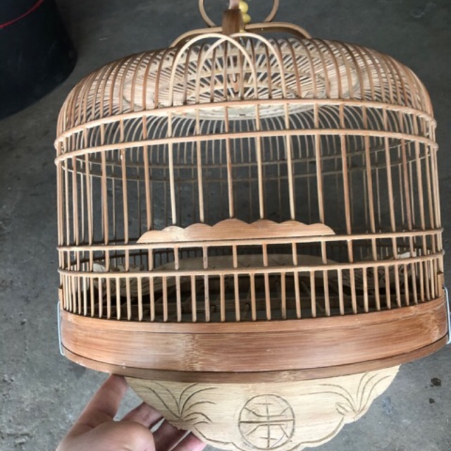 Lồng cu gáy đẹp