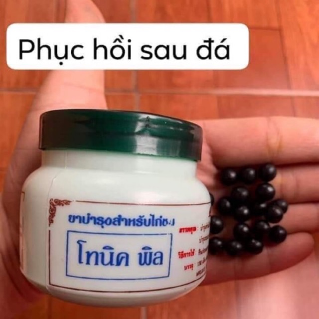 Thuốc phục hồi cho gà chọi chuẩn hàng thái