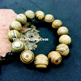 Vòng Tay Gỗ Thủy Tùng - 16mm - Thế Giới Vỏ Gỗ