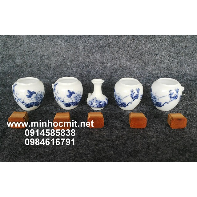 Cóng chim Khuyên Đất