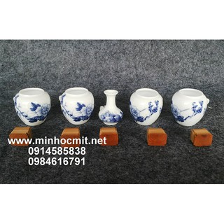 Cóng chim Khuyên Đất