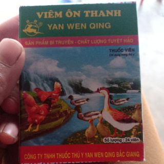 Viên ôn thanh 1 vỉ 24 viên