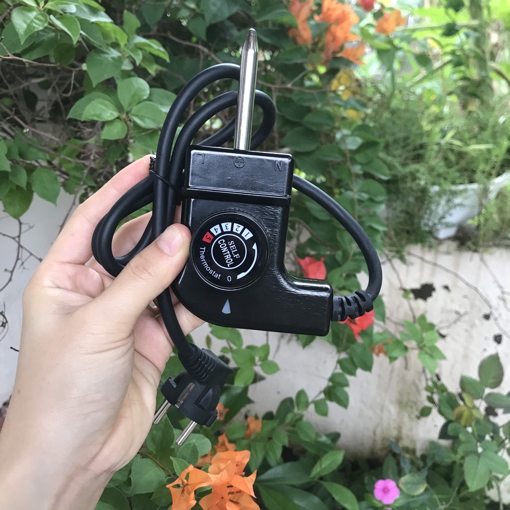 Dây nguồn bếp nướng, chảo nướng các loại