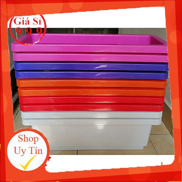 Bán Chậu nhựa thông minh trồng rau, trồng hoa, hình chữ nhật 48x20x16cm công ty và chính hãng