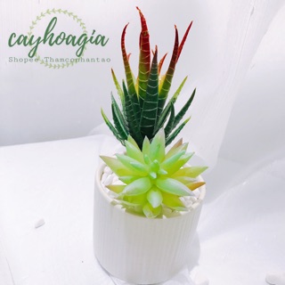 Cây giả - Sen Đá Giả Ms52