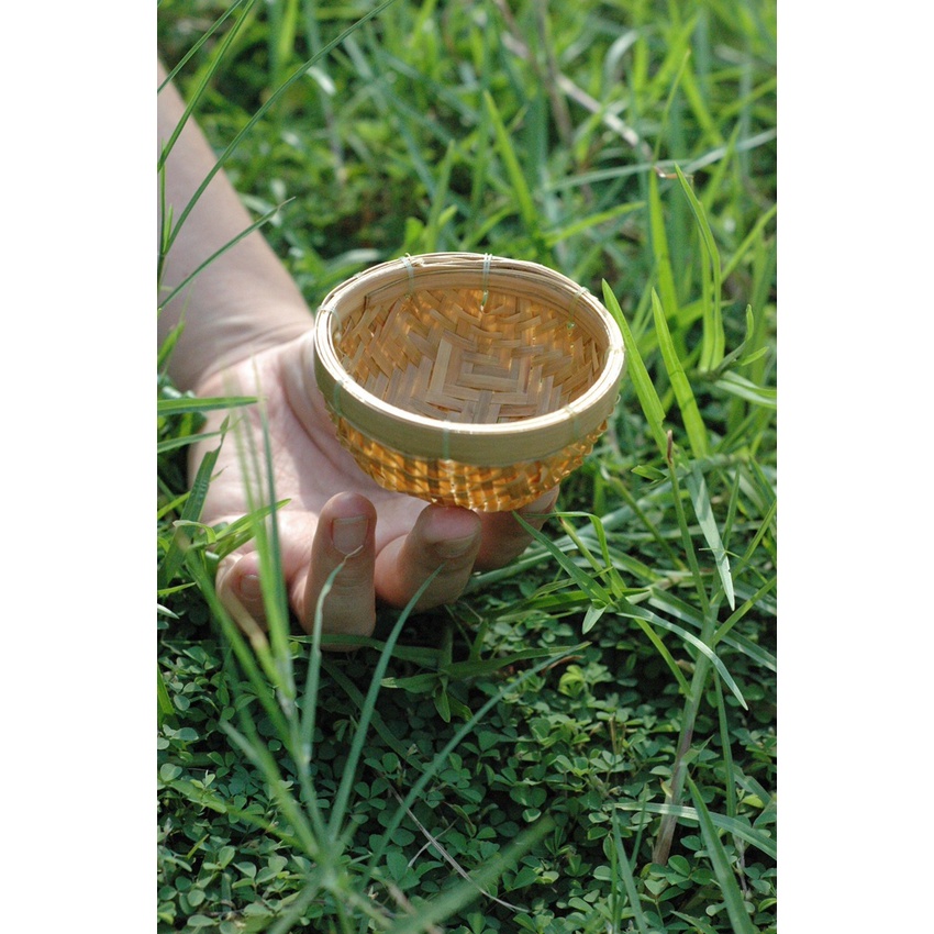 🌼🌼🌼Đồ Tre MiNi #15k. 🌻🌻🌻🌻