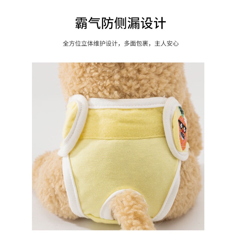 Quần chip sinh lý cho thú cưng, chó mèo