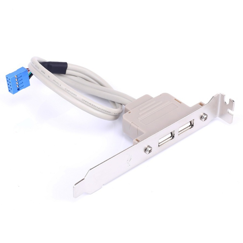 Cáp mở rộng USB 2.0 hai cổng PCI tích hợp 9-Pin cho bo mạch chủ máy tính