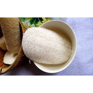 Xơ Mướp Miếng Tắm Rửa Bát