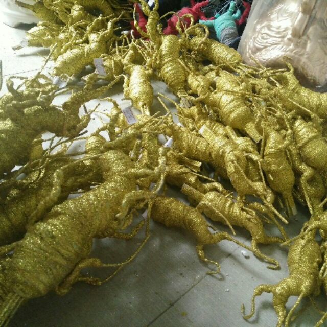Combo gốc vàng làm cây Kim Tiền (từ 25k.../gốc)