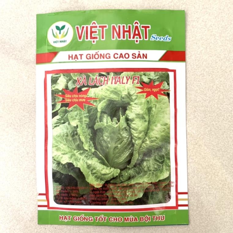 hạt giống xà lách italy f1 việt nhật 05gr