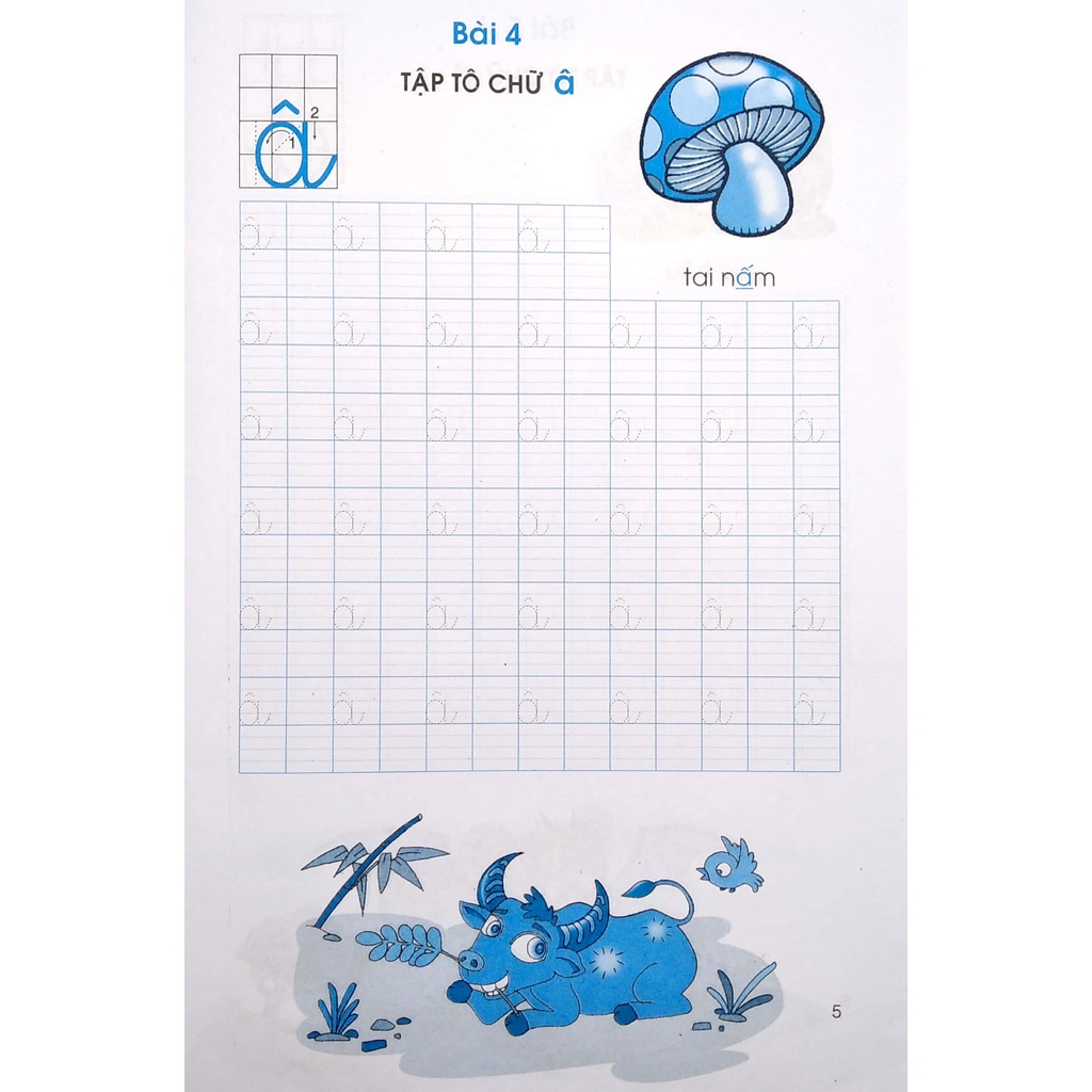 Sách Tập Tô Chữ (Mẫu Giáo 5-6 Tuổi)