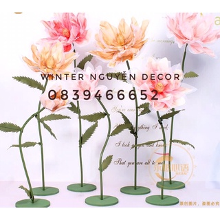 Set làm hoa khổng lồ theo yêu cầu khách