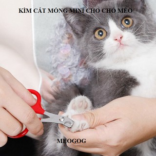 Kéo Kìm Cắt Móng Mini Chó Mèo, kìm bấm móng cho thú cưng