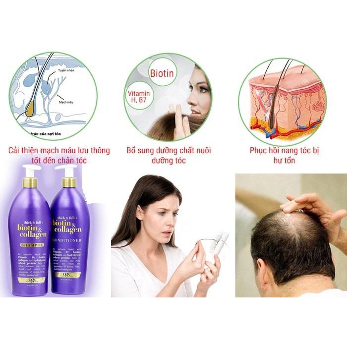 Combo bộ dầu gội và xả chống rụng và kích thích mọc tóc Thick &FullOrganix Biotin &Collagen 750ml x 2