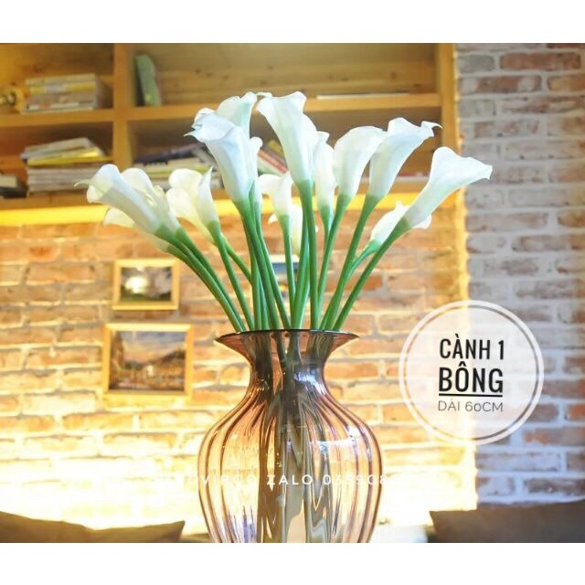 Hoa giả- hoa rum calla lily cao su cao cấp cành dài 70 cm siêu đẹp