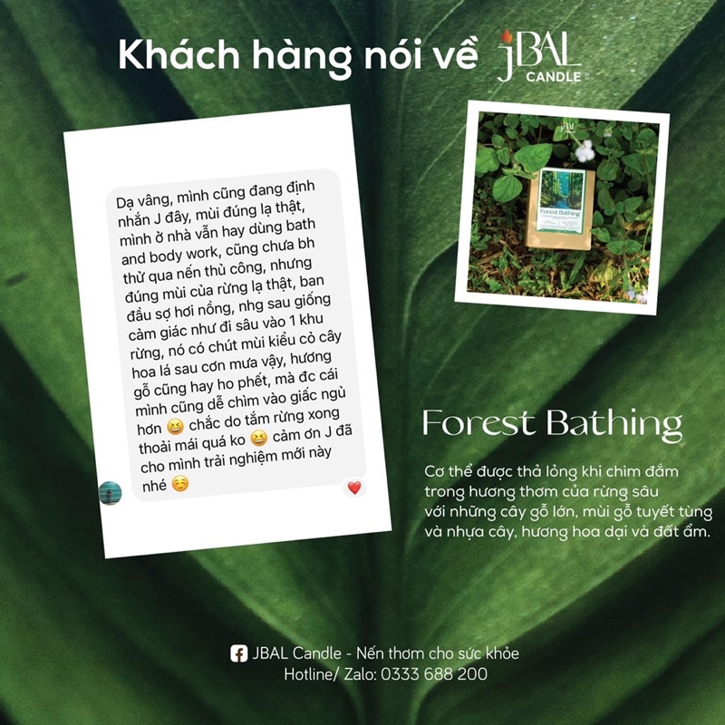 Forest Bathing - Nến thơm hương Rừng thư thái, mát mẻ
