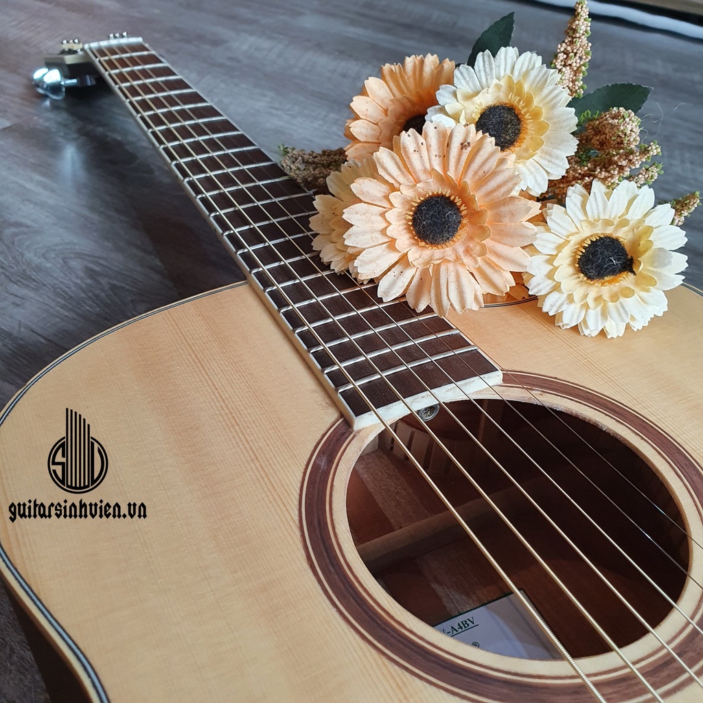 Đàn guitar acoustic SV-A4BV cao cấp có Bevel - Dành cho dân chơi lâu năm - Tặng full phụ kiện - Bảo hành 18 tháng