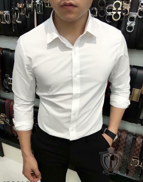 Sơ mi trơn soái ca