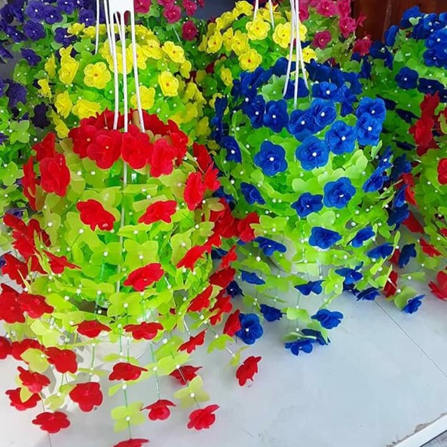 Hoa gấm cánh tròn