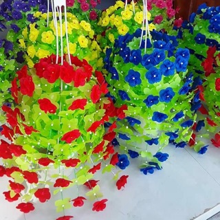 Hoa gấm cánh tròn