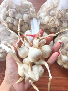 Tỏi Lý Sơn