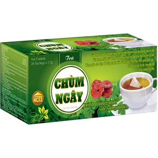 Trà túi lọc Chùm Ngây xạ đen linh chi (Hộp 20 gói)