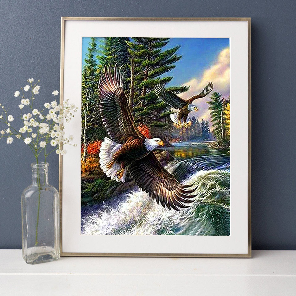 Bộ Tranh Đính Đá 5D Tự Làm 100% Hình Hai Chú Đại Bàng Đang Bay