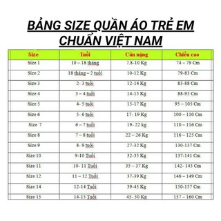 Áo sơ mi lụa 3D