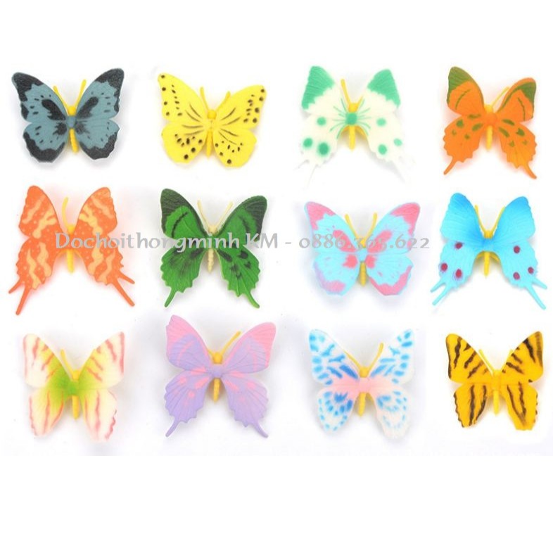 Set 12 loài bướm đủ màu cho bé học khám phá