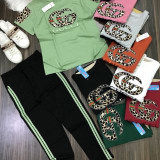 Set bộ thun thái