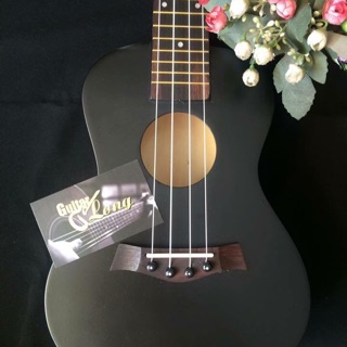Đàn ukulele concert