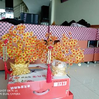 Cây cành vàng lá ngọc