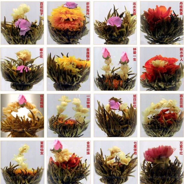 Trà Nở Hoa 16 bông