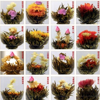 Trà Nở Hoa 16 bông