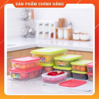 Hộp nhựa đựng thực phẩm nắp dẻo Nhật Bản các kích cỡ
