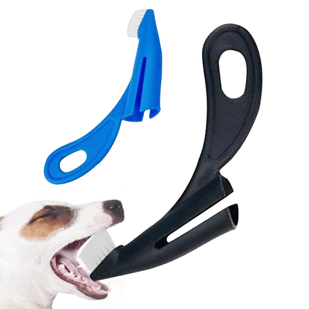 AUGUSTINA Bàn Chải Đánh Răng Ngón Tay Teddy Loại Bỏ Hết Hơi Thở Tiện Dụng Cho Thú Cưng