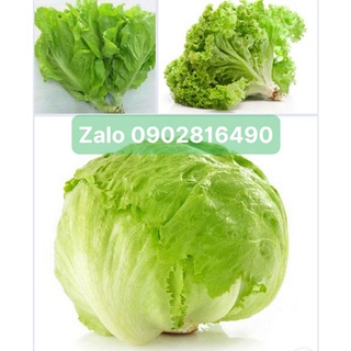 rau xà lách( 500gram)