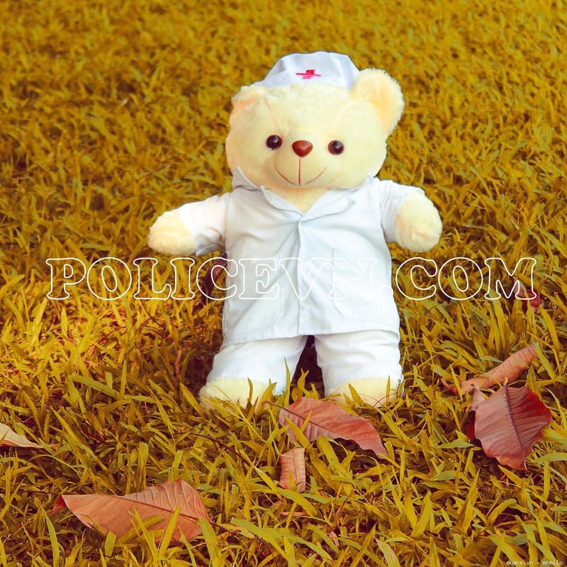 Gấu bông bác sĩ y tá 55cm