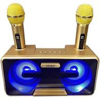 Loa karaoke bluetooth sdrd - sd301 hàng chính hãng - tặng 2 mic không dây siêu hay