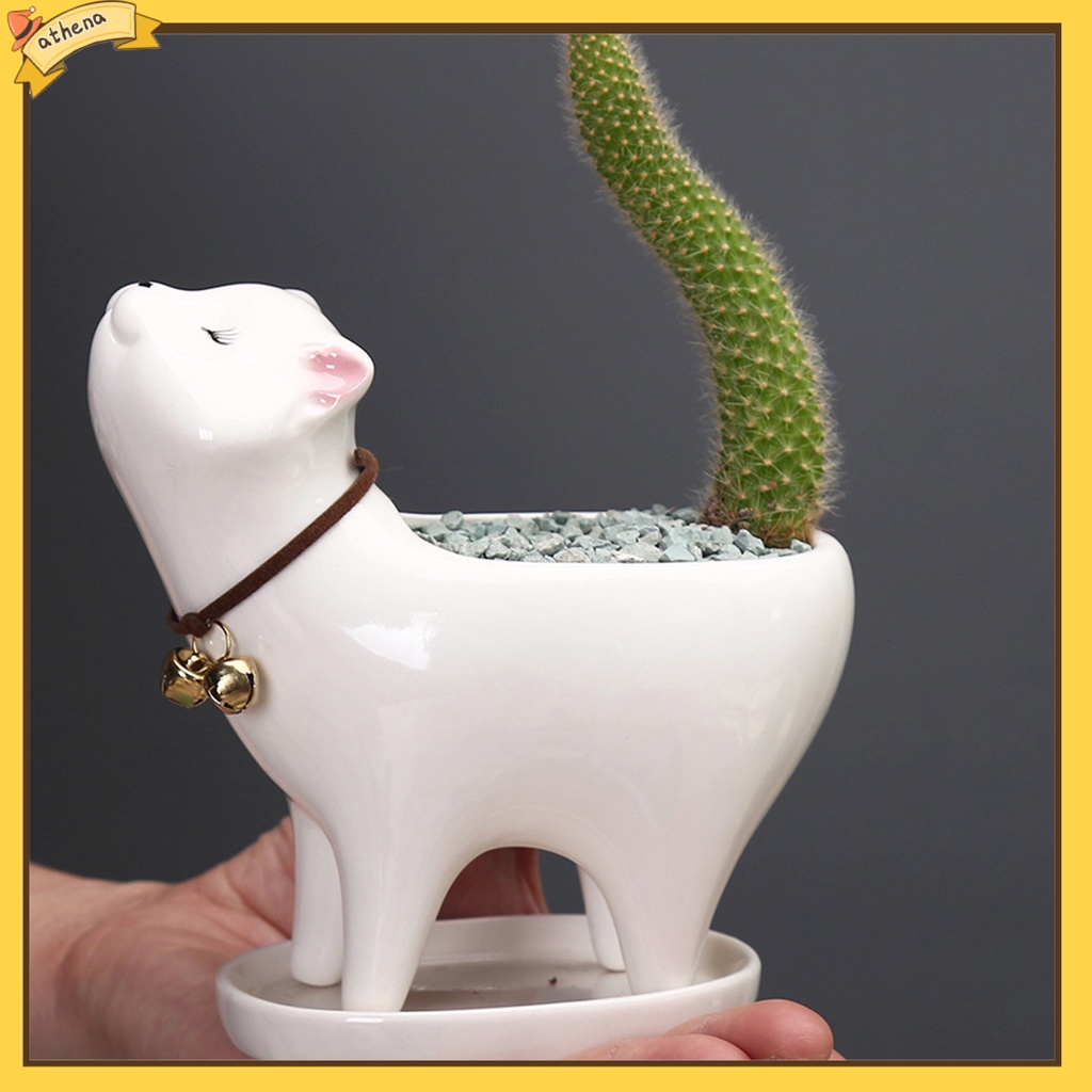Chậu trồng cây trang trí hình mèo con dễ thương
