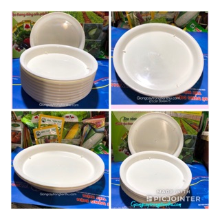 ĐĨA LÓT CHẬU CÂY CẢNH PHI 30