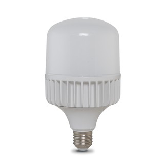 Bóng đèn led búp trụ tr100nđ/30w.h rạng đông