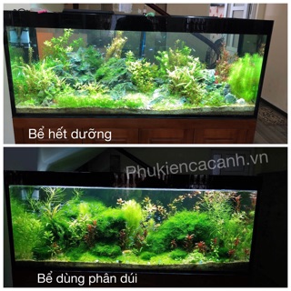 Phân dúi gex