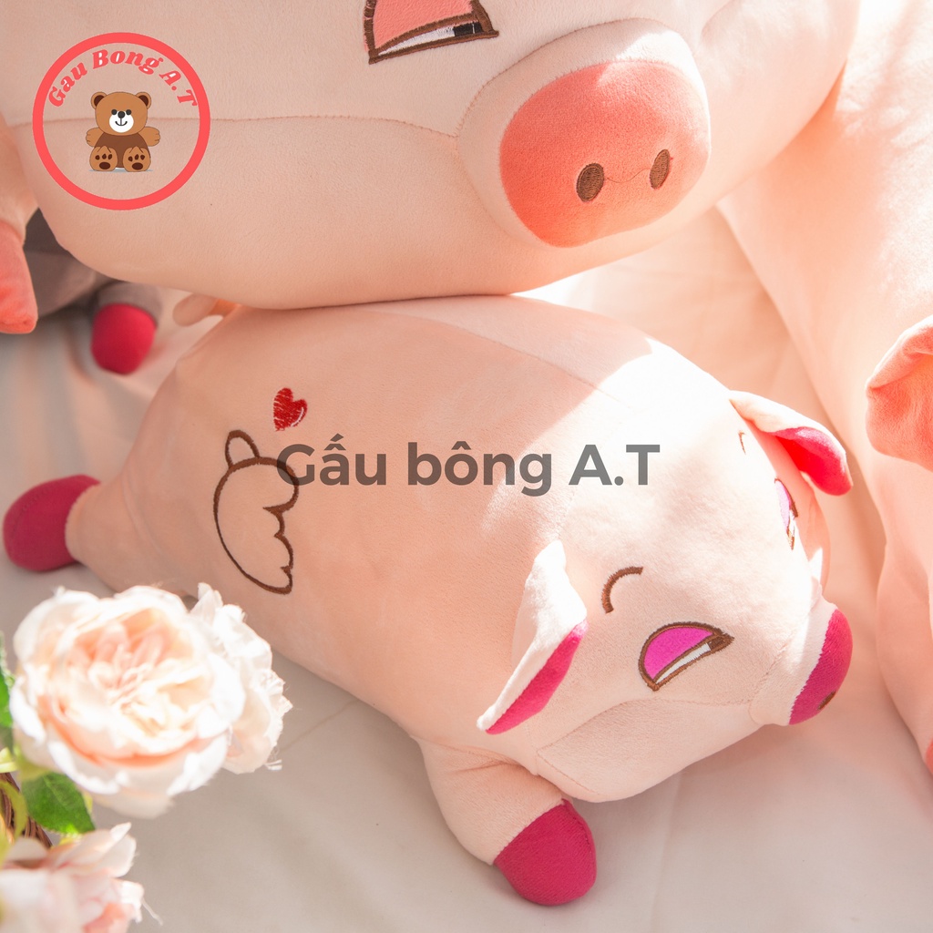 Gấu Bông Lợn NGỦ, Heo Ngủ Siêu Đáng Yêu Cute, Thú Nhồi Bông, Chất Liệu Bông Gòn Cao Cấp (size 40cm-1m2)_AT008