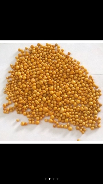 100 gam phân tan chậm 14-14-14 nhập khẩu của Mỹ