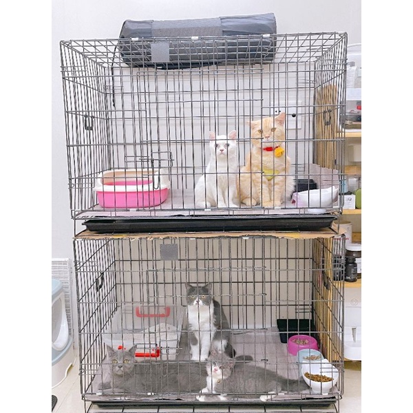 Lồng vân đá sơn tĩnh điện cho chó mèo - Size XL 93x56x66cm - siêu dày - gấp gọn kèm khay